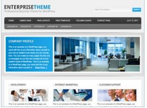 customize enterprise theme on genesis Framework