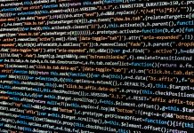 software developers