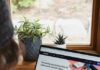 building a successful online store