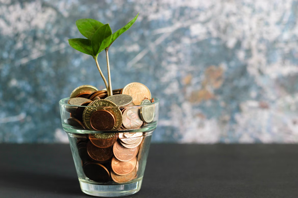 Family Budget Accounting