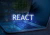 ReactJS development