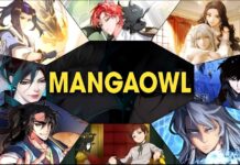 Mangaowl Review