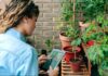 The Definitive Guide to Plant Care Applications