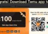 TEMU Affiliate Program 2025